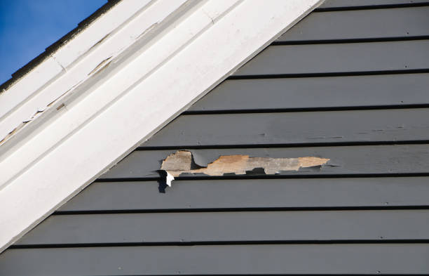 How To Choose The Right Materials for Your Siding Installation in 'Annandale, NJ